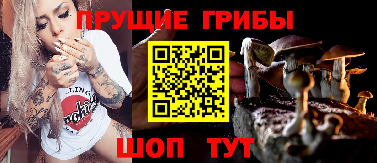 Псилоцибиновые грибы Cubensis  Вход с VPN  наркота  Егорьевск 